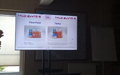 Zajęcia w firmie PAK – projekt